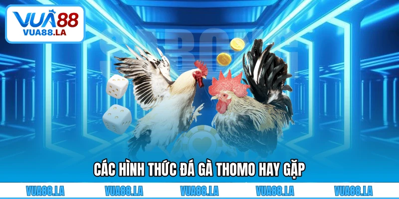 Các hình thức đá gà Thomo hay gặp