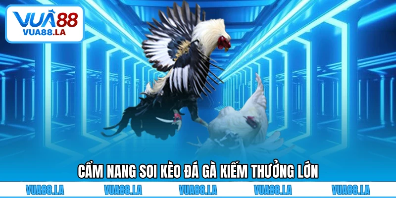 Cẩm nang soi kèo đá gà kiếm thưởng lớn