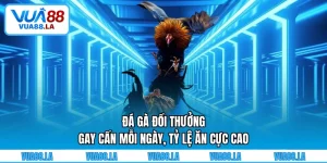 Đá gà đổi thưởng