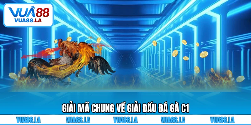 Giải mã chung về giải đấu đá gà C1