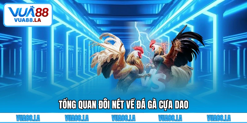 Tổng quan đôi nét về đá gà cựa dao