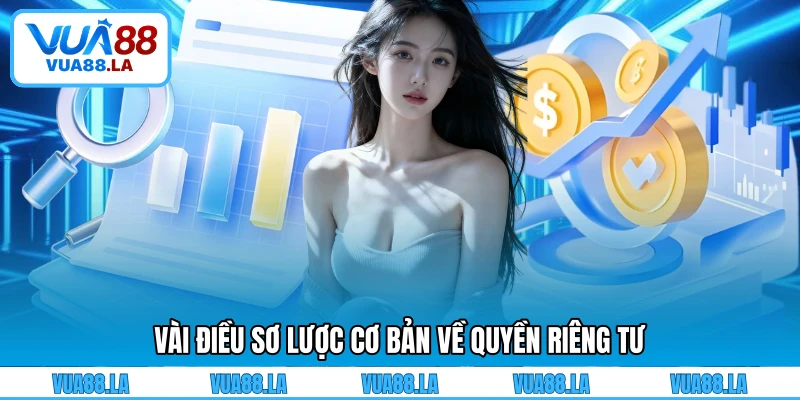 Vài điều sơ lược cơ bản về quyền riêng tư