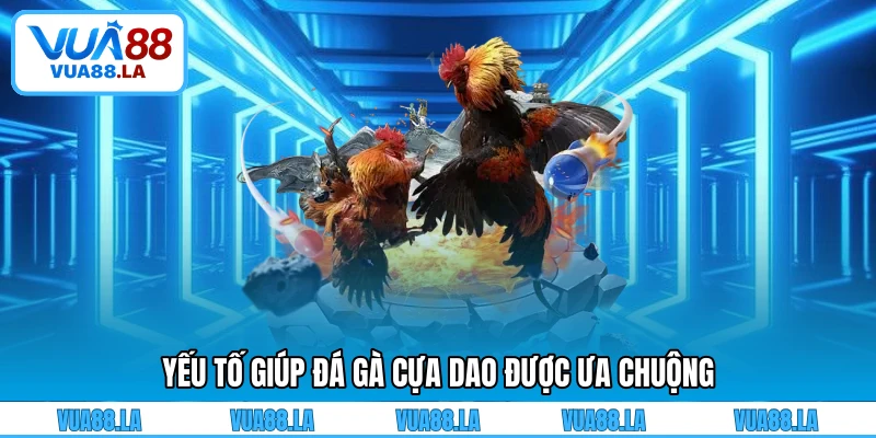 Yếu tố giúp đá gà cựa dao được ưa chuộng
